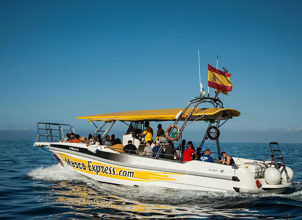 Barco Masca Express